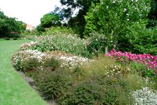 westbroekpark_225x150_062.jpg