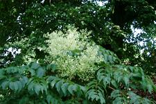 westbroekpark_225x150_064.jpg