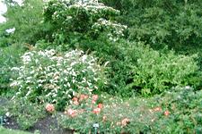 westbroekpark_225x150_070.jpg