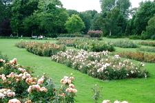 westbroekpark_225x150_072.jpg
