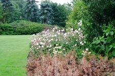 westbroekpark_225x150_088.jpg