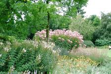 westbroekpark_225x150_092.jpg