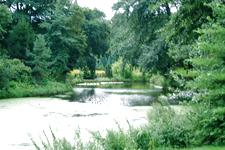 westbroekpark_225x150_099.jpg