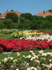 westbroekpark_170x227_010.jpg