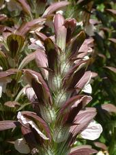 westbroekpark_170x227_020.jpg