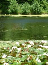 westbroekpark_170x227_026.jpg