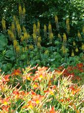 westbroekpark_170x227_028.jpg