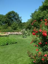 westbroekpark_170x227_050.jpg