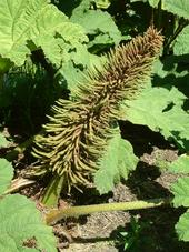 westbroekpark_170x227_063.jpg