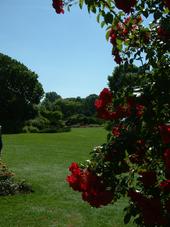 westbroekpark_170x227_088.jpg