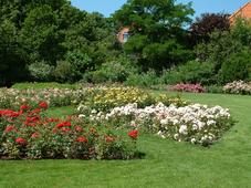 westbroekpark_227x170_001.jpg