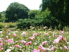westbroekpark_227x170_006.jpg