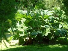 westbroekpark_227x170_009.jpg