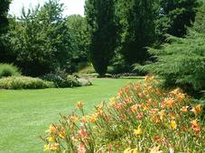 westbroekpark_227x170_014.jpg