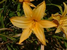 westbroekpark_227x170_017.jpg