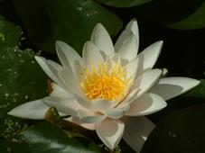 westbroekpark_227x170_024.jpg