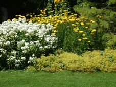 westbroekpark_227x170_036.jpg