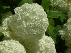 westbroekpark_227x170_037.jpg