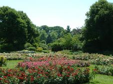 westbroekpark_227x170_042.jpg