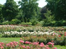 westbroekpark_227x170_045.jpg