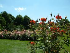 westbroekpark_227x170_049.jpg