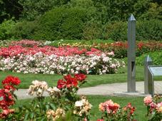 westbroekpark_227x170_053.jpg