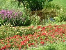 westbroekpark_227x170_062.jpg