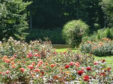 westbroekpark_227x170_070.jpg