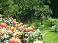 westbroekpark_227x170_075.jpg