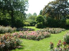 westbroekpark_227x170_077.jpg