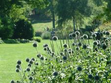 westbroekpark_227x170_086.jpg