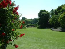 westbroekpark_227x170_087.jpg