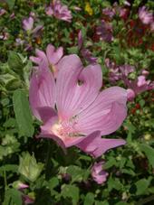 westbroekpark_170x227_016.jpg