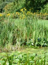 westbroekpark_170x227_030.jpg
