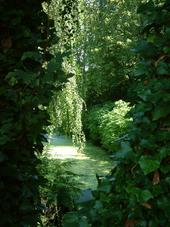 westbroekpark_170x227_031.jpg