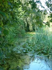 westbroekpark_170x227_033.jpg