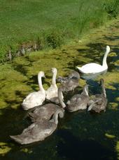 westbroekpark_170x227_064.jpg