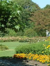 westbroekpark_170x227_078.jpg