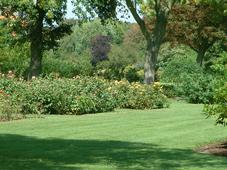 westbroekpark_227x170_026.jpg