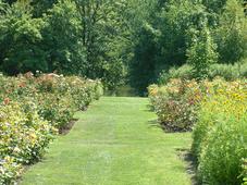 westbroekpark_227x170_047.jpg