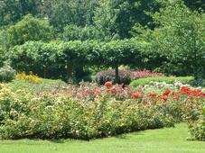 westbroekpark_227x170_059.jpg