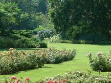 westbroekpark_227x170_061.jpg