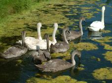 westbroekpark_227x170_065.jpg