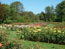 westbroekpark_227x170_068.jpg