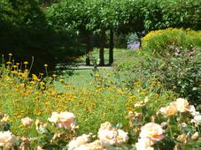 westbroekpark_227x170_079.jpg