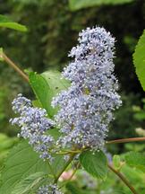 westbroekpark_162x216_023.jpg