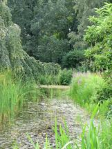 westbroekpark_162x216_033.jpg