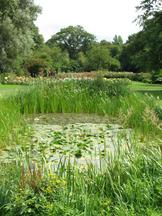 westbroekpark_162x216_069.jpg