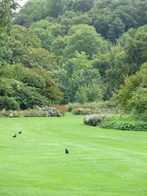westbroekpark_162x216_090.jpg