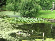 westbroekpark_216x162_011.jpg
